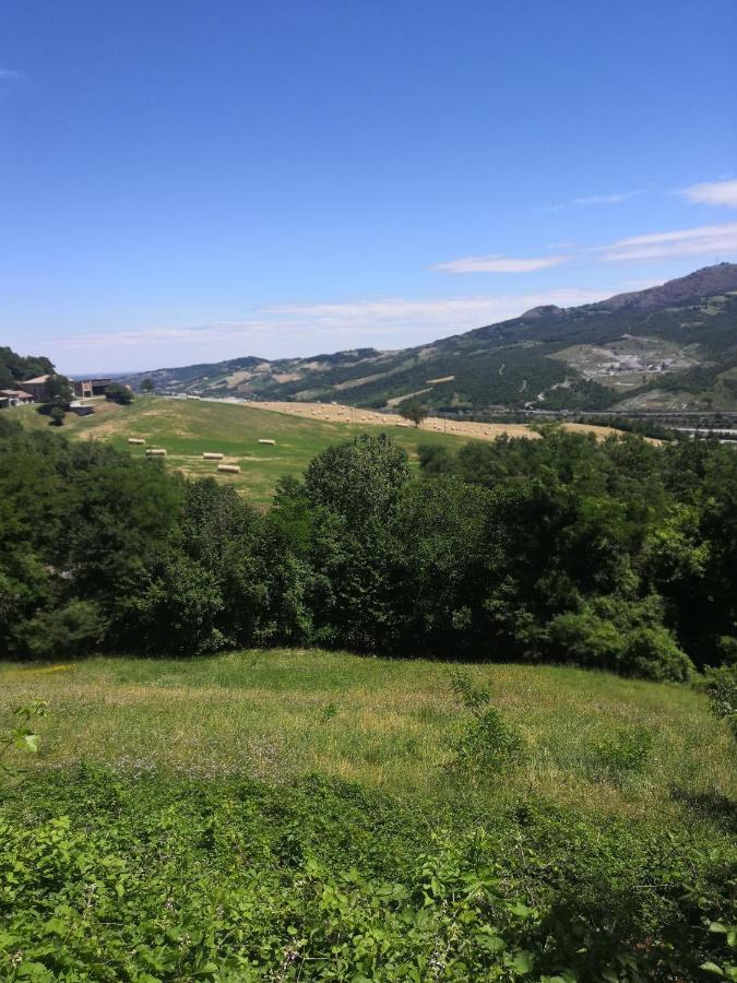 Solignano B&B Demetra מראה חיצוני תמונה